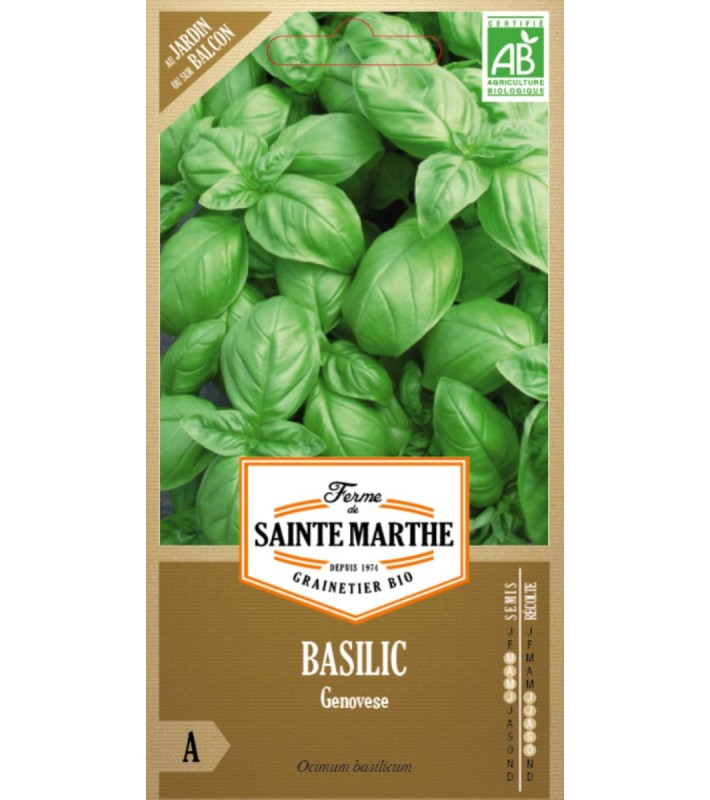 Basilic Genovese AB sachet de  graines