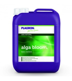 Plagron Alga bloom - 10 Litres