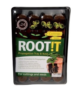 ROOT!T Plateau de propagation 24 cubes