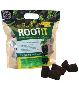 ROOT!T éponges - Sac de 50 unités