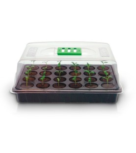 Kit de bouturage économique ROOT!T
