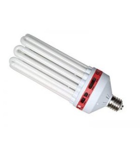 Ampoule CFL 250W Floraison 