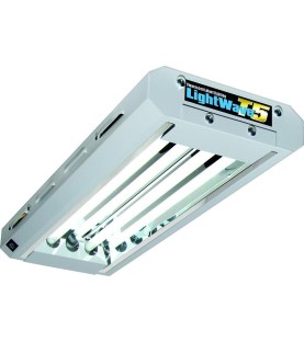 Kit Néon T5 LightWave® 2 x 24 W LW22-HO