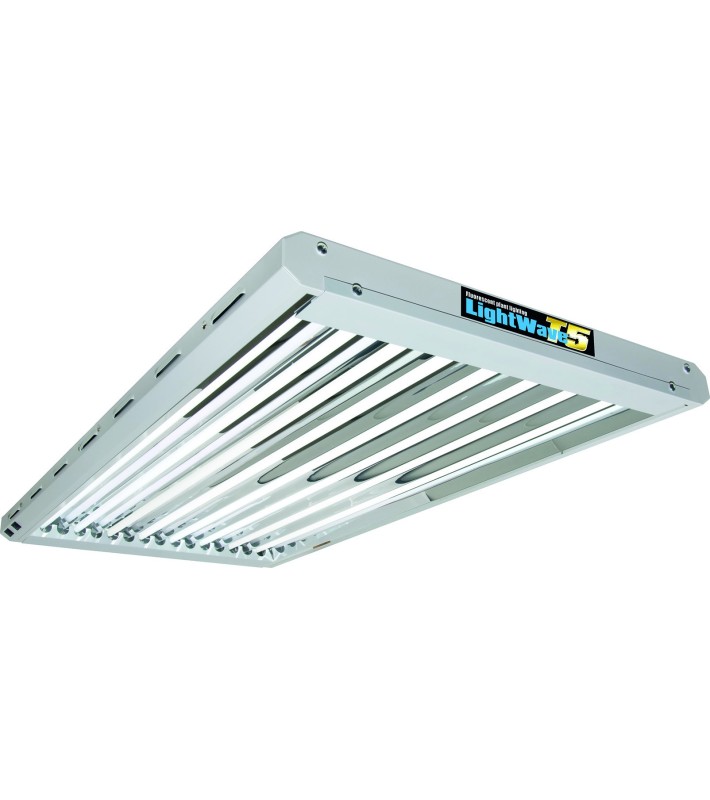 Kit Neon T5 LightWave 8 x 54 W LW48 HO