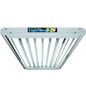 Kit Néon T5 LightWave® 8 x 54 W LW48-HO