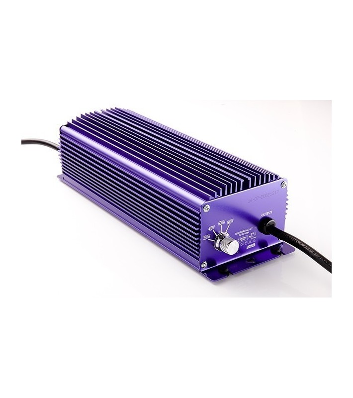 Transformateur 600 W LUMATEK avec Variateur de Flux