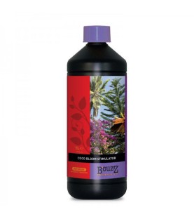 B'cuzz Coco Bloom Stimulator 1L