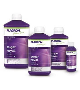 Plagron Sugar Royal - 100 mL