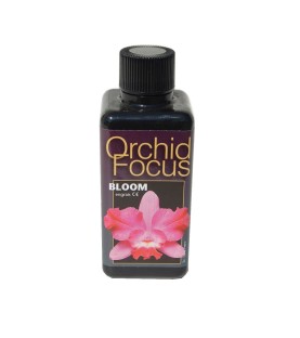 Ionic Orchid Focus Bloom - 300 mL