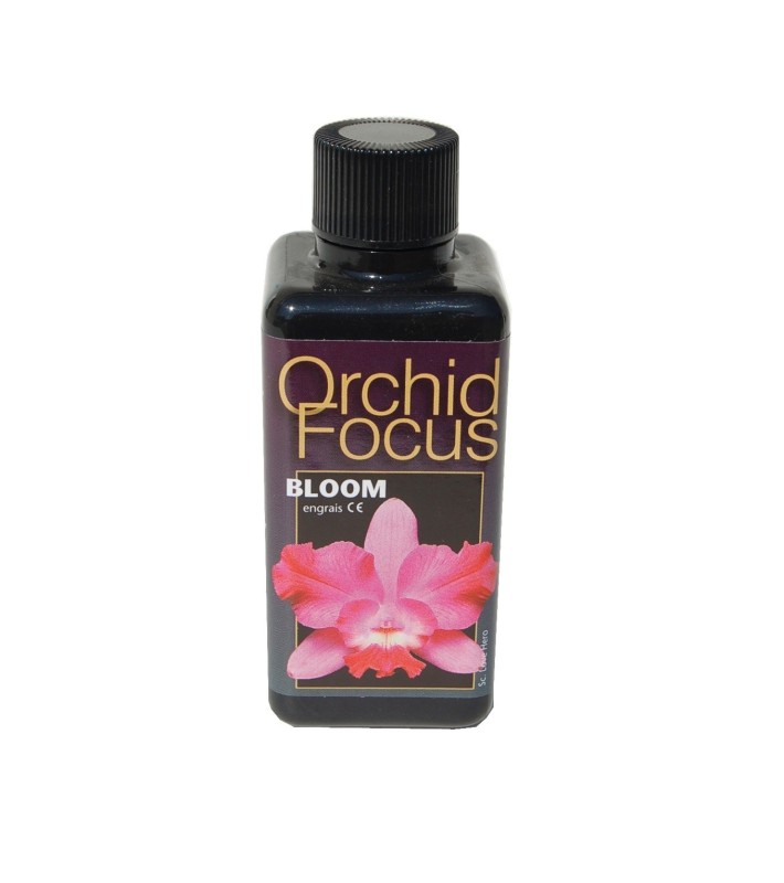 Ionic Orchid Focus Bloom - 300 mL
