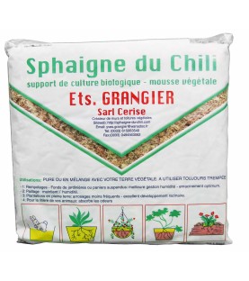 Sphaigne du Chili 1 KG