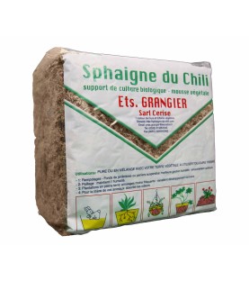 Sphaigne du Chili 1 KG