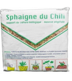 Sphaigne du chili  5 Kg