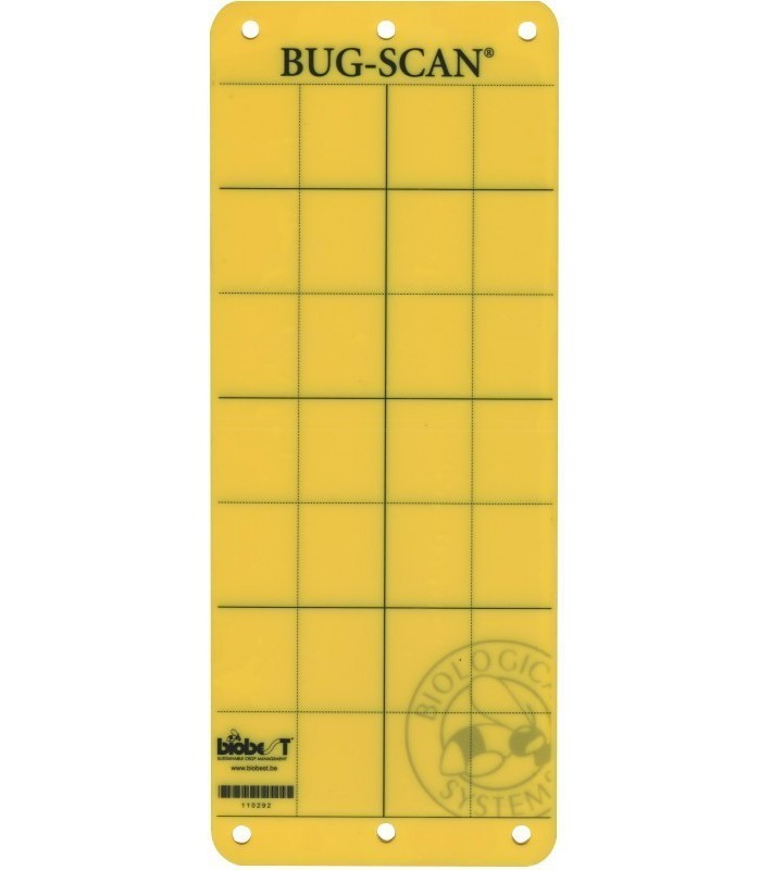 Colle mouche JAUNE Bug-Scan® - BIOBEST (paquet de 10)