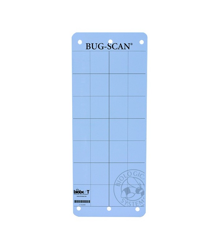 Colle mouche BLEU Bug-Scan® - BIOBEST (paquet de 10)