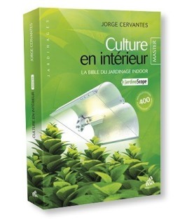 CULTURE EN INTÉRIEUR - MASTER - JORGES CERVANTES