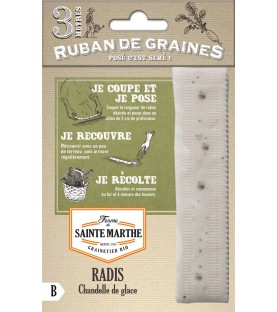 Ruban de radis Chandelle de glace AB