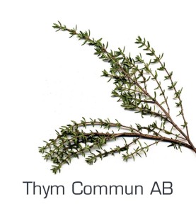 Thym Commun AB