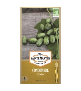 Concombre à confire AB