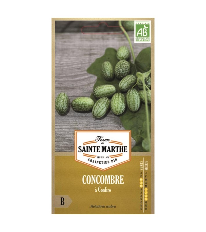 Concombre à confire AB