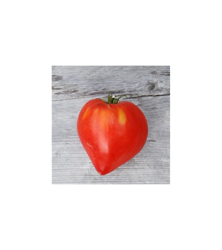 TOMATE CŒUR AB