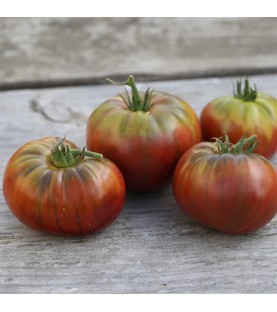 Tomate Noire de Crimée AB