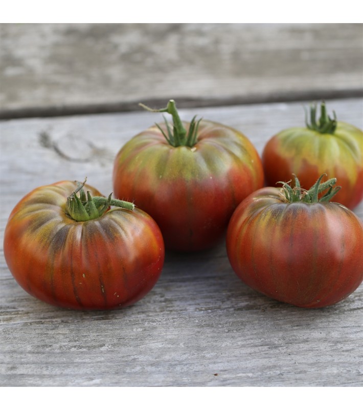 Tomate Noire de Crimée AB