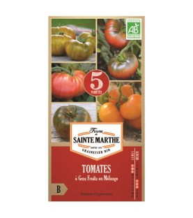 Tomates à gros fruits en mélange AB