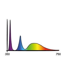 Cosmorrow Led 20W 24V L50cm Ultraviolet