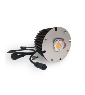 EOS Cob LED 100W