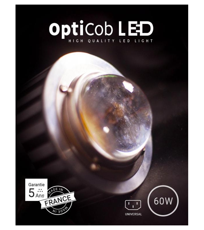 Opti COB  LED 60