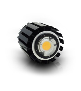 Opti COB  LED 60