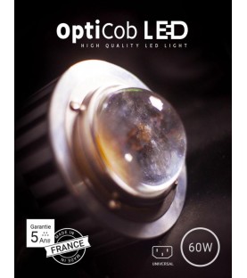 Opti COB  LED 60