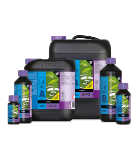 B'Cuzz Hydro Nutrition A+B 5L