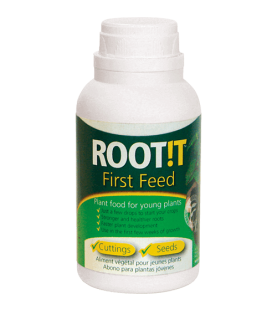 ROOT!T First Feed