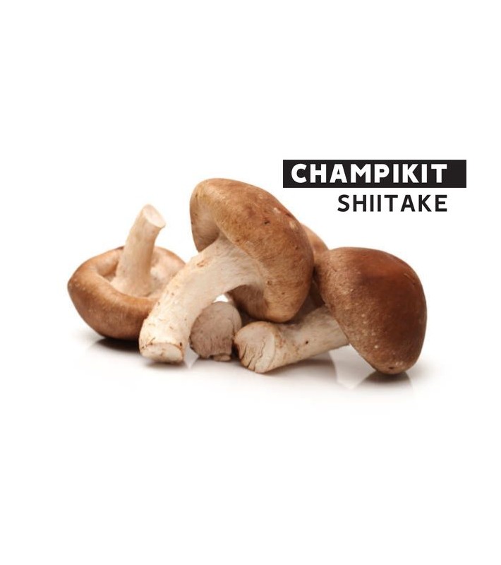 CHAMPIKIT Shiitakés  - 2,5 Kg