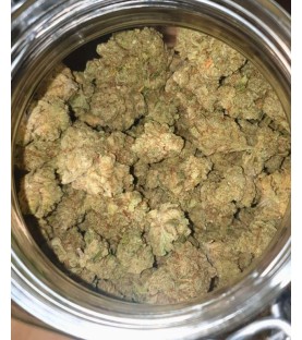 Fleurs CBD - Indoor Jack Herer Large Bud 15% - au Gramme