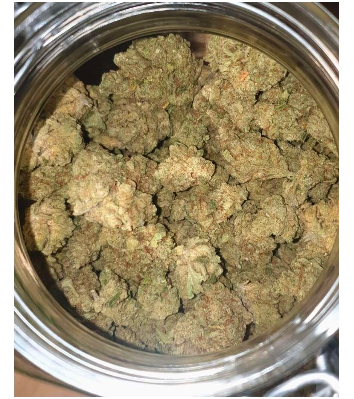Fleurs CBD - Indoor Jack Herer Large Bud 15% - au Gramme