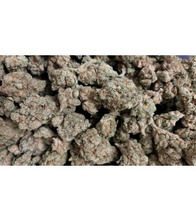 Fleurs CBD - Indoor Jack Herer Large Bud 15% - au Gramme