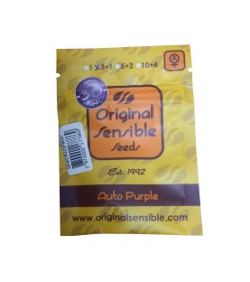 Original Sensible Seeds - Auto Purple 3 graines