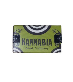 10 GRAINES REG - NEIL HAZE * KANNABIA SEEDS 10 GRAINES RÉGULIÈRES
