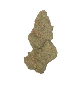Fleurs CBD - Indoor GHOST US - au Gramme