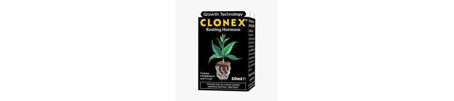 Hormones Boutures