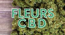 Fleurs de CBD