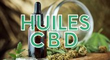 Huiles de CBD