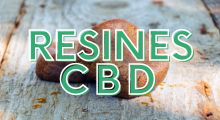 Resines et Hash CBD