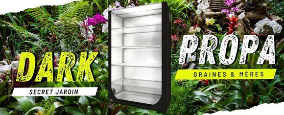 Dark Propagator